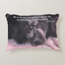 Search for border collie quote Inspirational