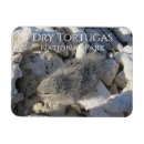Search for bush magnets Travel