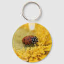 Search for bug key rings Insect