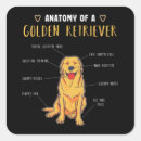 Search for golden retriever stickers Canine