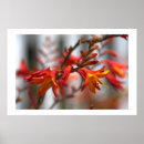 Search for beautiful garden posters Beauty