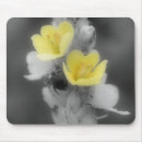 Search for beetle mousepads Flower