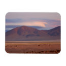 Search for del magnets Chile