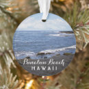 Search for tropical island christmas tree decorations Sand