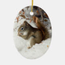 Search for squirrel christmas tree decorations Animal lover