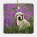 Search for yellow lab christmas tree decorations Pets