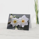 Search for blume cards White