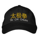 Search for chuan Taijiquan