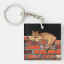 Search for the wall key rings Pet
