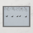 Search for canadian winter postcards Animal