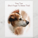 Search for cute flyers Pets