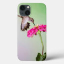Search for hummingbird electronics Feeding