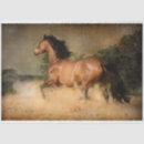 Search for wild horse tissue paper Stallion