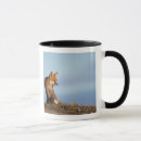 Search for vulpes vulpes mugs Environment