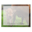 Search for herding cards invites Cute