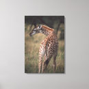 Search for kenya canvas prints Full length