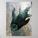 Search for algae posters Water