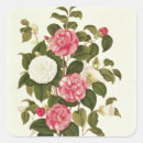 Search for camellia flower stickers School