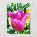 Search for tender postcards Pink