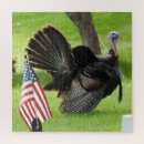 Search for memorial day puzzles Veteran