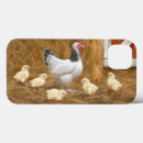 Search for hen chicks iphone cases Chickens