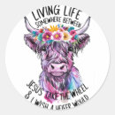 Search for heifer stickers Cow
