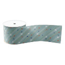 Search for airplane ribbon Jet