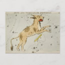 Search for vintage astrology postcards Stars