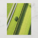 Search for diagonal postcards Green