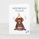 Search for chocolate lab birthday cards Dog