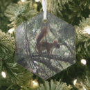 Search for red squirrel christmas tree decorations Squirrels