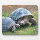 Search for tortoises mousepads Animal