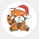 Search for red pandas stickers Animal lover