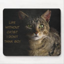 Search for funny cat quotes mousepads Kitten