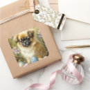 Search for tibetan spaniel stickers Pet