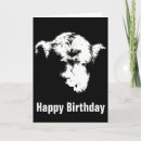 Search for coo cards Calf