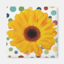 Search for gerber magnets Daisies