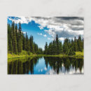 Search for evergreen postcards Landscape