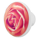 Search for coral photography Rose