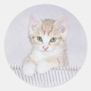 Search for orange tabby cat stickers Cute