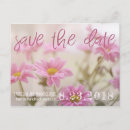 Search for daisy save the dates Pink