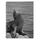 Search for wildlife photography Animals