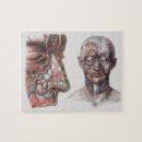 Search for human anatomy puzzles Medicine