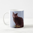 Search for russian blue cat mugs Kitten