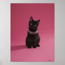 Search for jewelled posters Cat