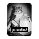 Search for from magnets Pet