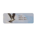 Search for bird nest return address labels Nature