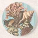 Search for creature barware Seashell