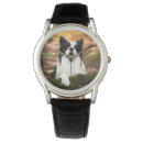 Search for border collie watches Canine
