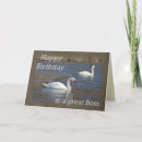 Search for swan birthday cards Birds